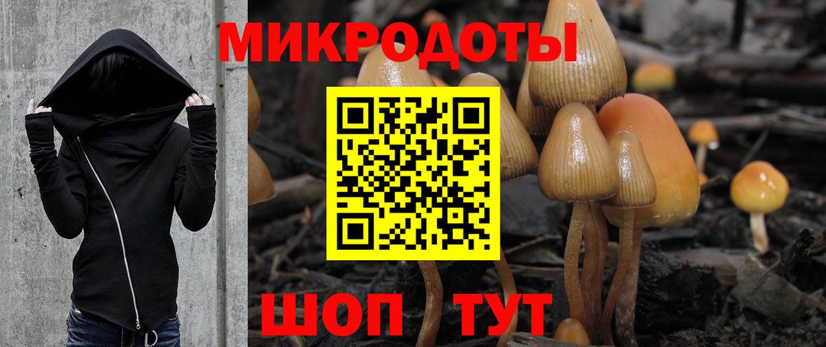 Солнечногорск  Галлюциногенные грибы мухоморы  Псилоцибиновые грибы MAGIC MUSHROOMS  Вход с VPN 