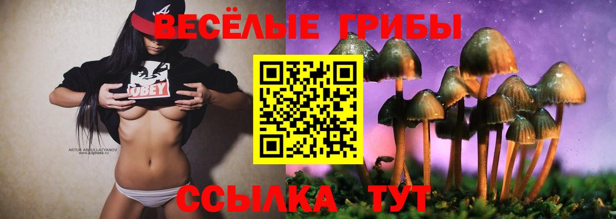 Галлюциногенные грибы MAGIC MUSHROOMS Солнечногорск